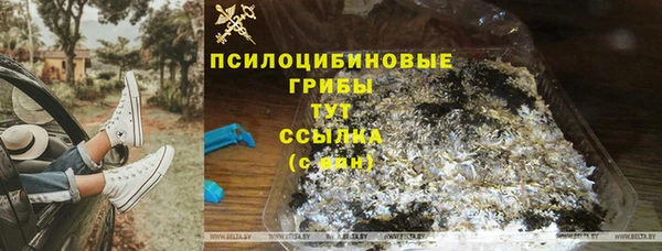 спиды Алексин