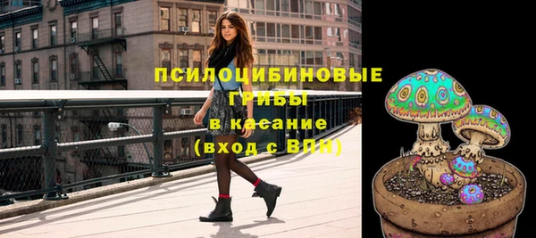 спиды Алексеевка